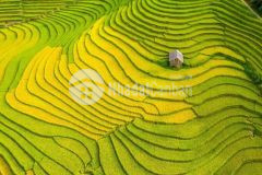 Chỉ với 5trm2 sở hữu mảnh đất tại trung tâm y tý sapa2, dtdt500m2, mt 25m.