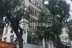 Bán nhà phố chùa láng, đống đa, view hồ chùa láng, tiện kinh doanh. dt120m, mt5m