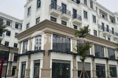 169m2 6 tầng biệt thự liền kề shophouse hải âu vinhomes ocean park 0944523668