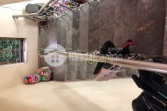 Đất du lịch đồ sơn, hải phòng gần biển mà giá chỉ 1.3 tỷ sẵn nhà 2 tầng