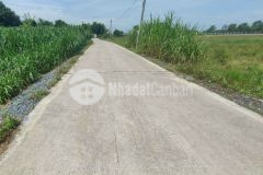 Bán nhanh miếng đất 122m2 ở củ chi giá 530 triệu.