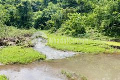 Bán gấp 3,7ha full rsx giá cực rẻ ở đú sáng giá chỉ 2xxtrha