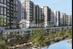 Chuyển nhượng căn hộ chung cư khu celadon city