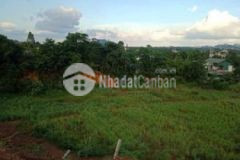 Bán đất trung tâm thị trấn lương