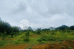 Bán gấp lô đất ở thung mường dt 4000m2 có sẵn 200m2 thổ cư, nằm giữa 3 dự án lớn