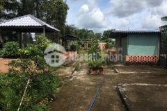 1.000m2 mặt tiền tỉnh lộ 878,tam hiệp,châu thành,tiền giang