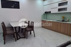 Bán nhà tô hiệu, hà đông 48mx4t lô góc ô tô gần phố hơn 5 tỷ