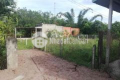 Đất đồng cỏ đỏ bình minh full thổ cư