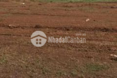 Bán đất xã sông trầu giá cực rẻ