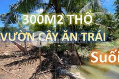 Bán gấp đất vườn 300m2 thổ cư gần trị an