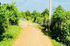 Bán 4 000m2 đất vườn đường ôtô giá 650tr