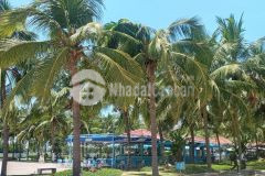 Sơn trà bán nhà hoàng sa, 62m2, chỉ 2 tỷ 9 lý uy tín 0396.232.575