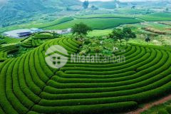 Đất nền mộc châu đón sóng quy hoạch du lịch quốc gia