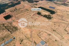 Chính chủ có 2ha đất làm farm cần bán nhanh tại bình thuận shr 0946071867