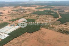 Bán lô đất sào gần biển bình thuận,21937m2, sổ đỏ,giá 270km2