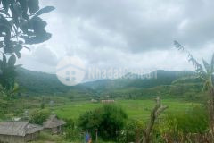 Sở hữu đất mộc châu giá rẻ chỉ từ 1,5trm2