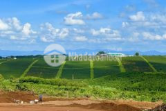 Đất mặt tiền thôn 7 lộc quảng view hồ và đồi trà