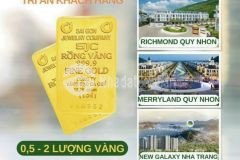 Mừng lễ 29 hưng thịnh ưu đãi chiết khấu khủng tất cả các dự án