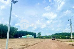 Đất khu công nghiệp ninh điền châu thành tây ninh 5x72m2 có 359m2 thổ cư giá hết đất 490trieu