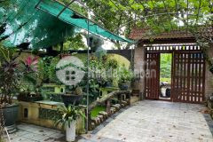 Bán biệt thự sân vườn bát khối 480m quy hoạch đang hoàn thiện cực đẹp không có căn thứ 2