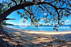 Đất nên cô tô, gần bãi tắm đẹp nhất cô tô. đón sóng sun group đầu tư khai thác du lịch