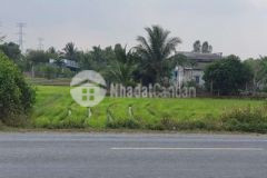 Mặt tiền quốc lộ n2 hòa khánh đông tỉnh long an