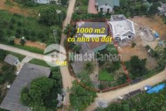 Bán nhà và đất lô góc 1000 m2 công đi giá hơn 3 tỷ