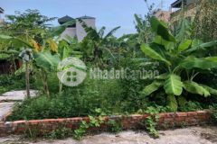 Mảnh đất thổ cư hai mặt ngõ thoáng