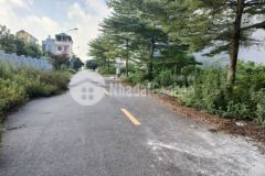 Hàng xóm đông anh dt160 m mt 6 m giá 25 tr 1 m2