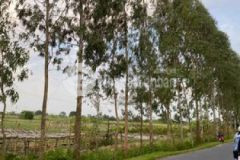 Cần bán gấp lô đất 934m2 tại thị trấn chi nê hb