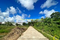 Kiệt quốc lộ 1a an bình gần ngay chợ tư sòng