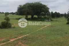 Săn ngay đất đẹp, ven biển đẳng cấp tại bình thuận