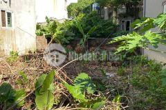 Đản dị khu phố ẩm thực gần nhà văn hóa trung tâm khu vực cực kỳ sầm uất