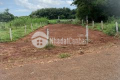 Duy nhất 1 lô biệt thự 415m2 gần trung tâm, gần chợ và ubnd xã long phước