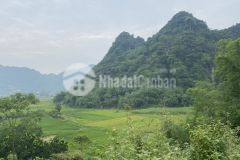 Bán gấp lô đất có dt 2707m2, lô đất có vị trí đẹp nằm trong khu vực nhiều khu nghỉ dưỡng nhất kb