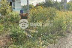 1000m2 sẵn 100tc láng dài đất đỏ chỉ 2ty550