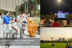 Trả trước 15 390 triệu nhận nhà ở cho thuê ngay