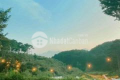 Bán đất đà lạt gần hồ xuân hương sổ sẵn giá 2ty250