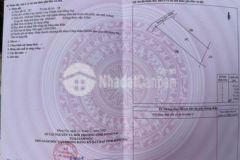 Đất dân 1000m2 giá rẻ cạnh sân bay long thành