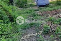 1 công đất cách chợ an trạch 500m tp sóc trăng 4km