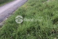 Dt 21x21 464m full tc 1 đường dt784 xã truông mít