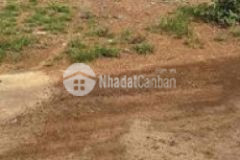 Tặng 3 chỉ vàng lễ 29