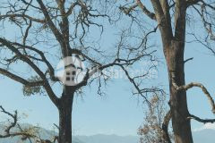 Đất nền sapa 2. đón sóng công bố qh khu đô thị mới,tiềm năng tăng giá cao