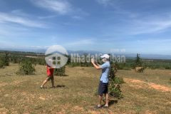 1 lô đất xã phan thanh, đường trên sổ, cạnh ql1a ngay khu dân cư giá 130km2.lh tôi có zalo ạ