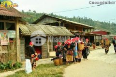 Nhanh tay sở hữu mảnh đất sapa chỉ từ 2trm2 đón sóng xây dựng sân bay