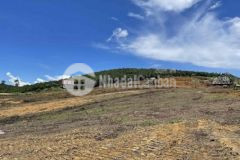 Muốn bán gấp loi đất mặt tiền đường