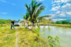 Bán đất nông nghiệp bắc bình