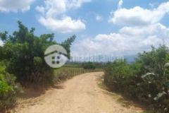 Cần bán 4 850m2 600 triệu đất có đường trên sổ