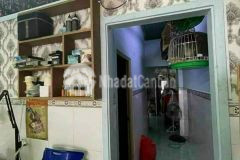 Nhà c4, thạnh lộc 31, quận 12, hẻm 2.5m cách mt chính 50m tl 31, 4x11m, 2.x tỷ, tl.