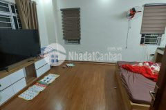 Bán nhà mỹ đình lô góc vừa ở vừa kinh doanh 60m2, 5 tầng, mt 4.4m, giá 6.7 tỷ.